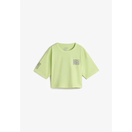 Vans - MTE Big Cypress Boxy - Shadow Lime - Póló